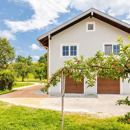 Waldherr - 6 Pers Appartement Waging am See