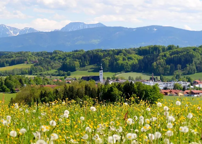 Waldherr - 6 Pers *